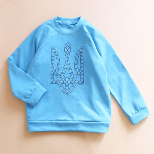 5042513312_patriotichnij-reglan-z.jpg